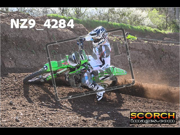 Experts-237