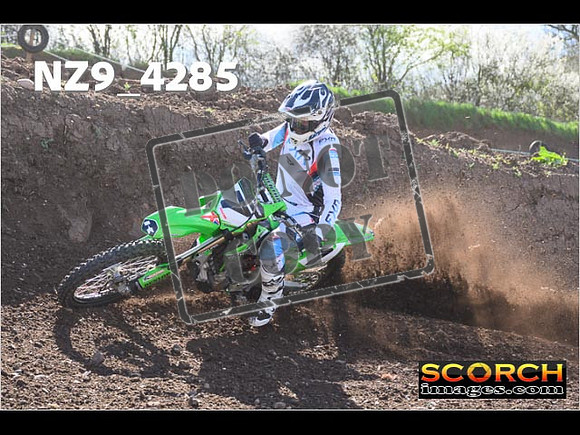 Experts-238