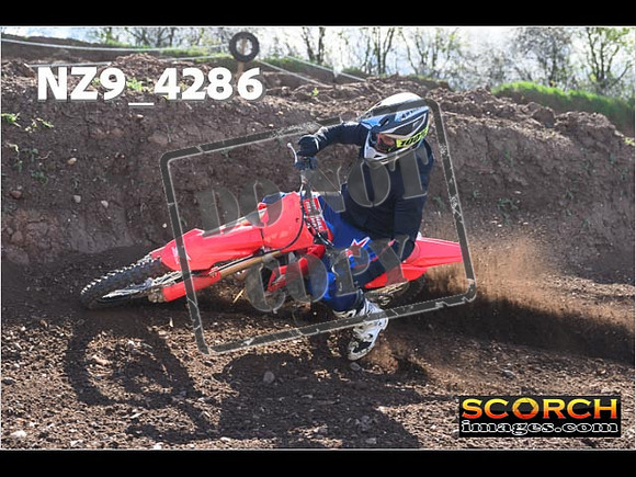 Experts-239