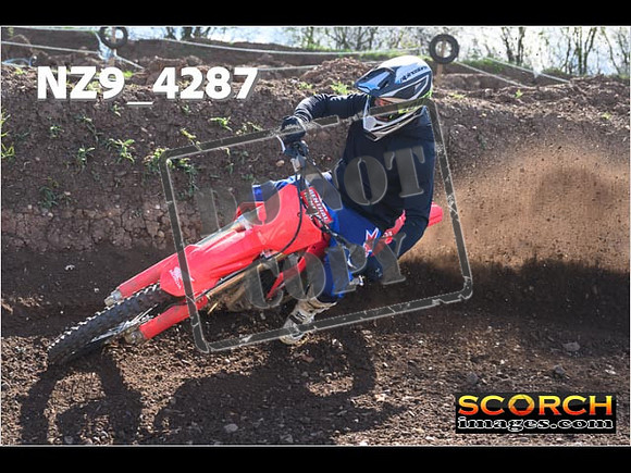 Experts-240