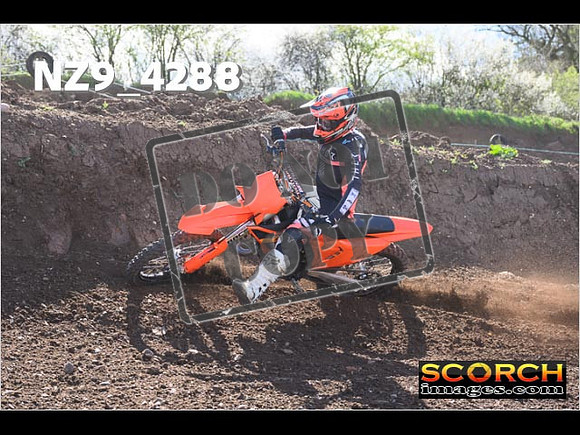 Experts-241