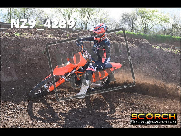Experts-242