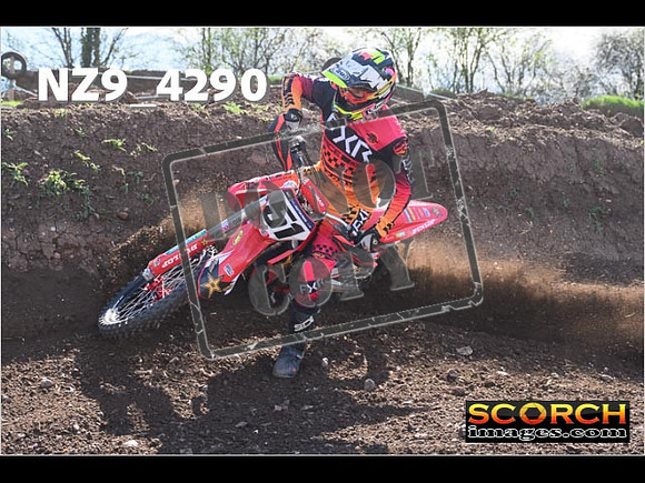 Experts-243