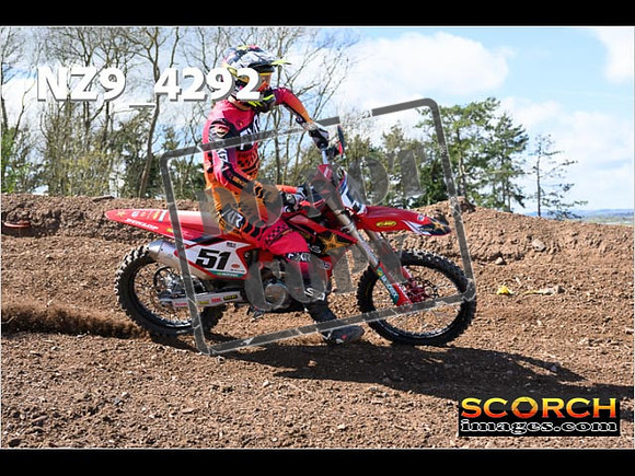 Experts-245