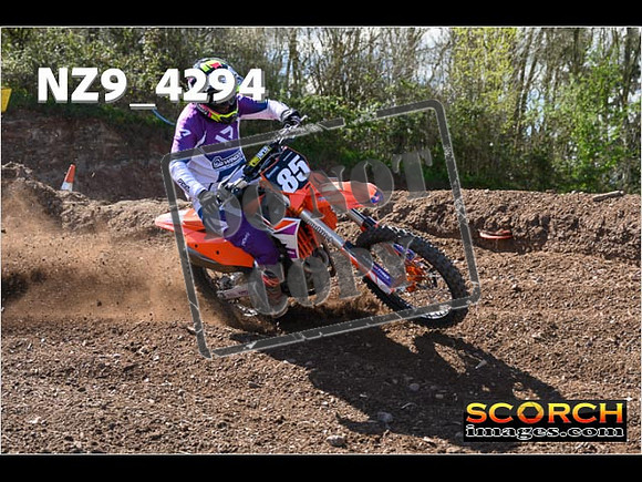 Experts-246