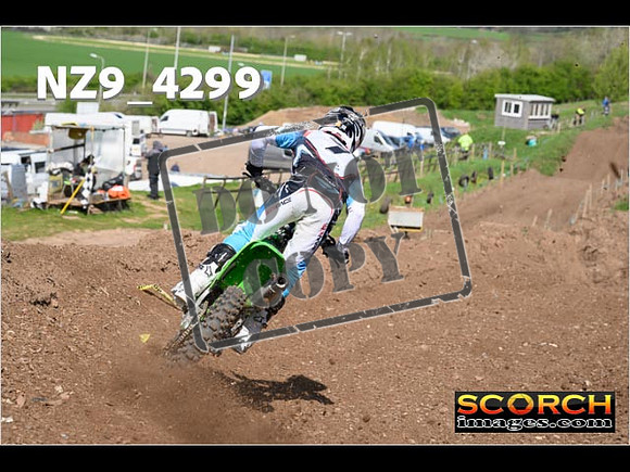 Experts-250