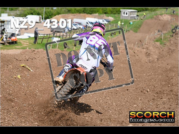 Experts-251