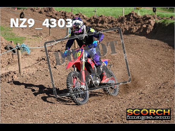 Experts-253