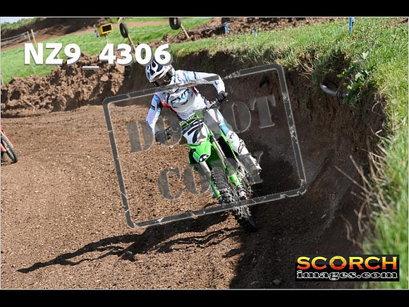 Experts-256