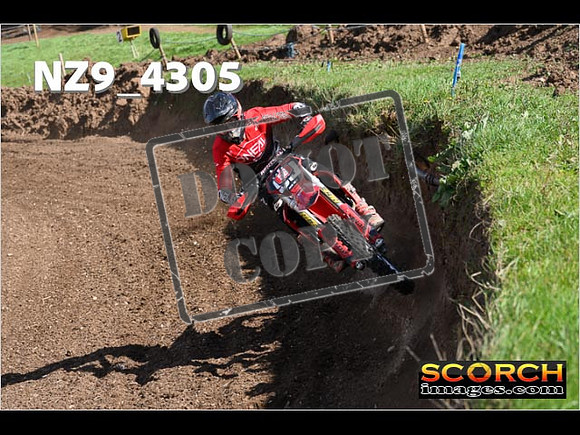 Experts-255