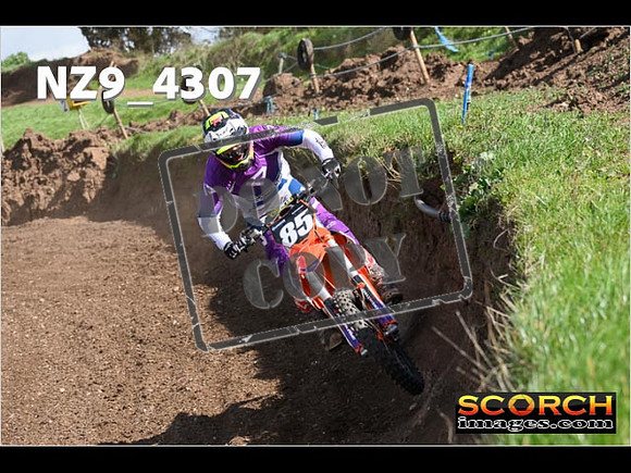 Experts-257