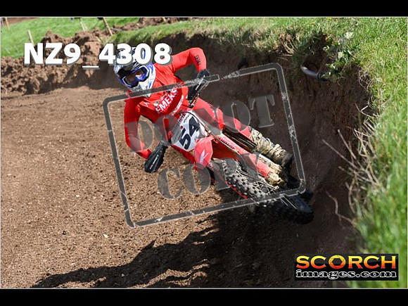 Experts-258