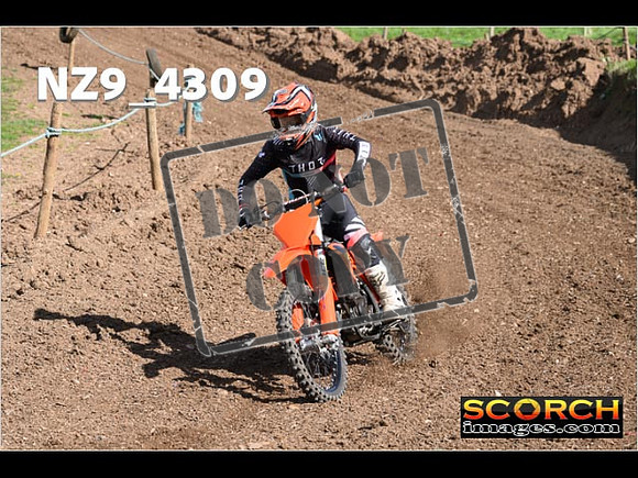 Experts-259