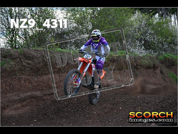 Experts-260