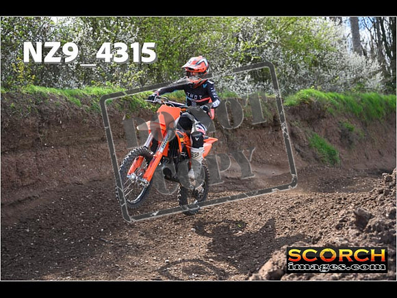 Experts-264