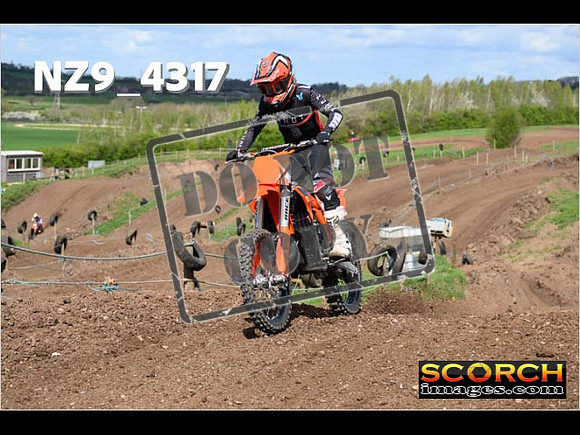 Experts-266