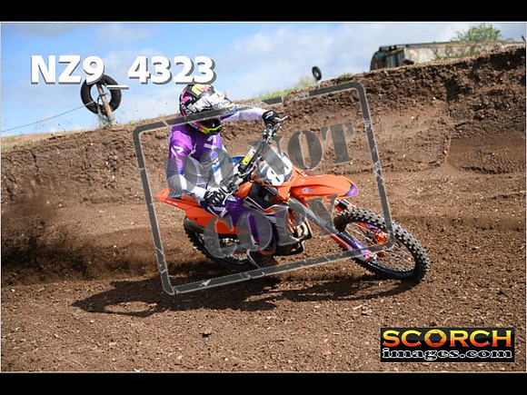 Experts-272