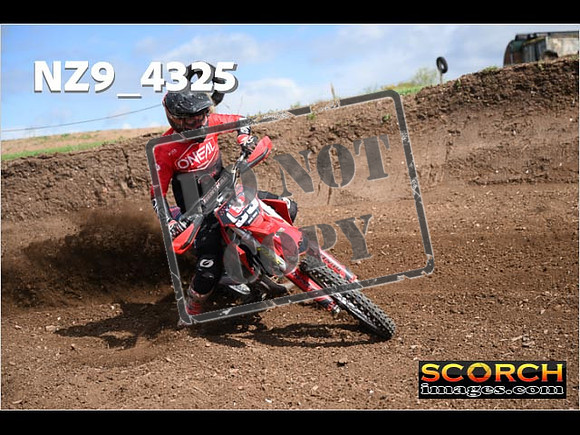 Experts-273