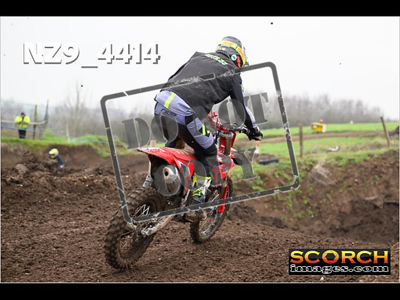Experts-257
