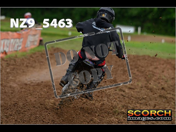 Experts-394
