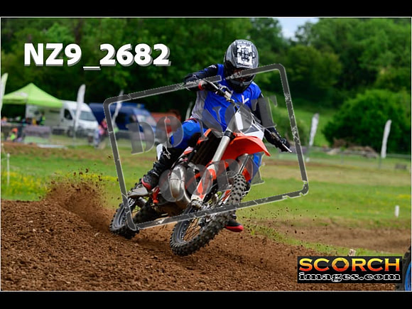 Novice-271