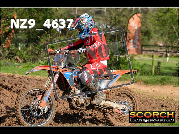 Experts-044