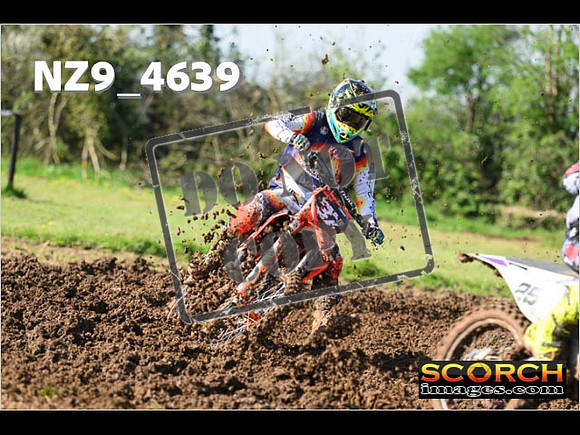 Experts-046