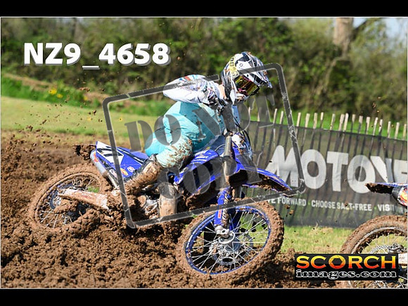 Experts-065