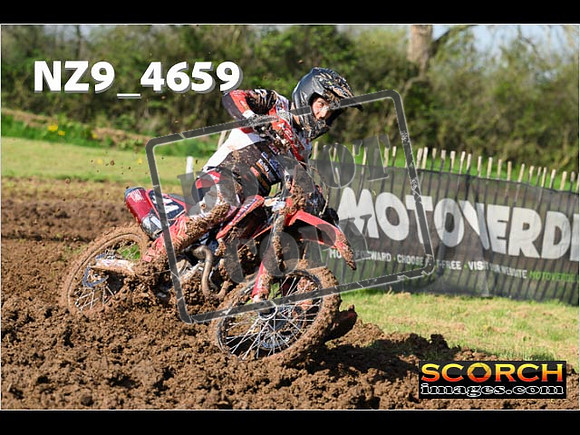 Experts-066