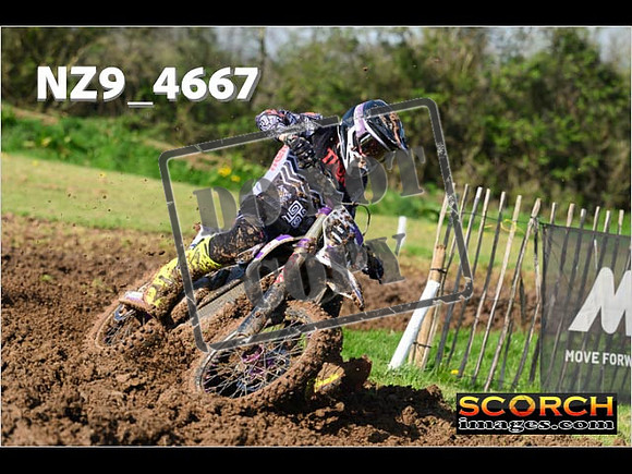 Experts-074