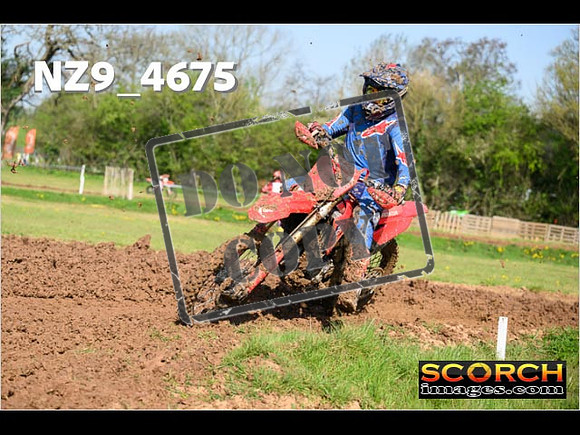 Experts-082