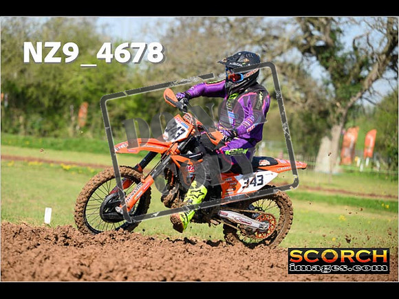 Experts-085