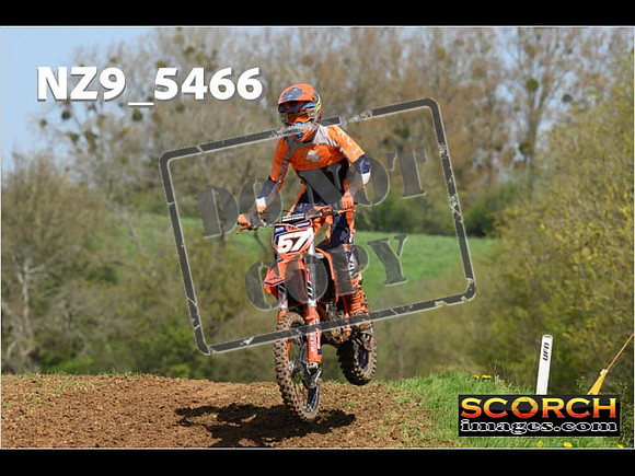 Experts-119