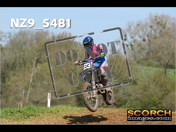 Experts-134