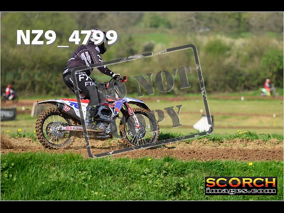 Novice-100