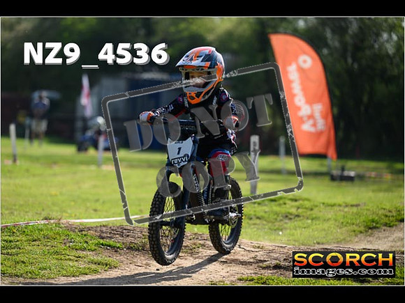 PeeWee-029