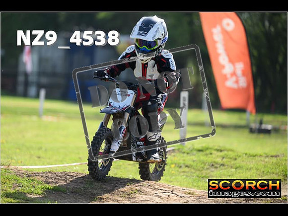 PeeWee-031