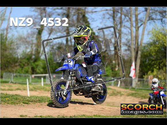 PeeWee-025