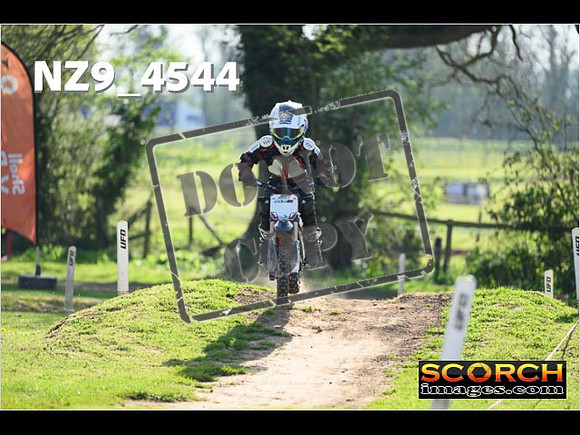 PeeWee-037