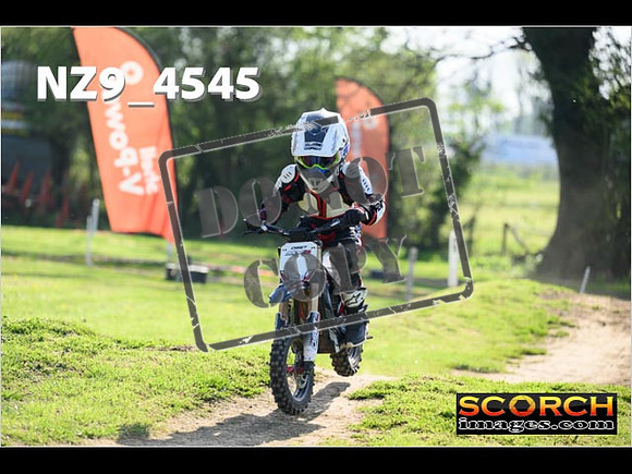 PeeWee-038