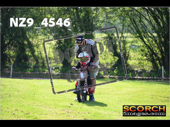 PeeWee-039