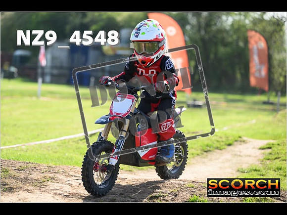 PeeWee-041