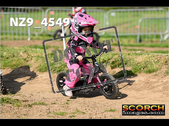 PeeWee-042