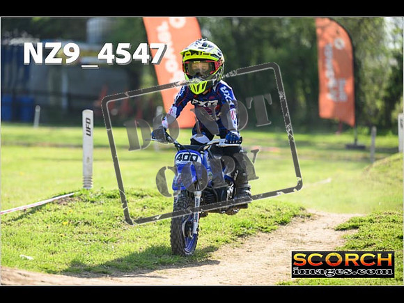 PeeWee-040