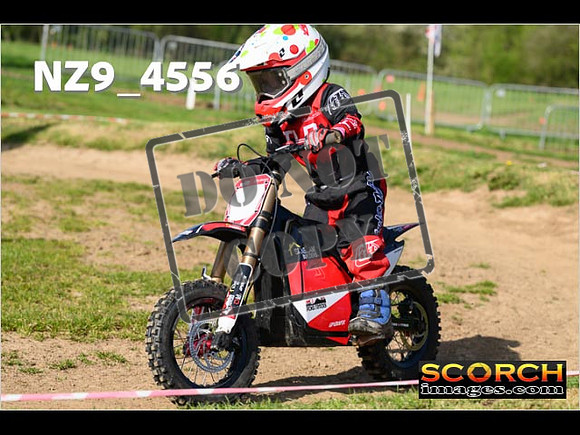 PeeWee-048