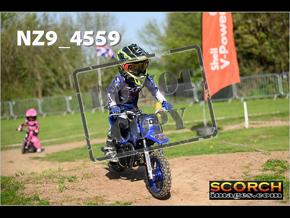 PeeWee-050
