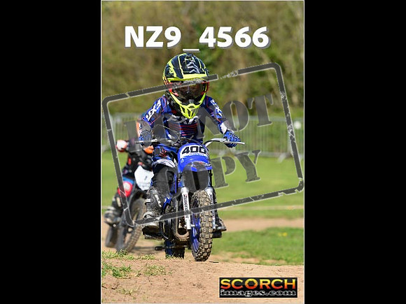 PeeWee-057