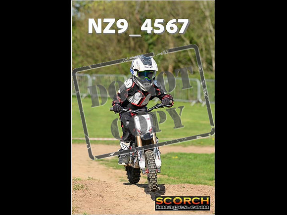 PeeWee-058
