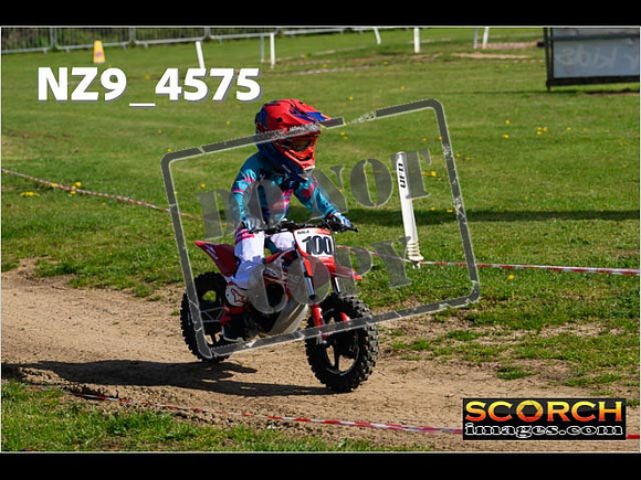 PeeWee-066