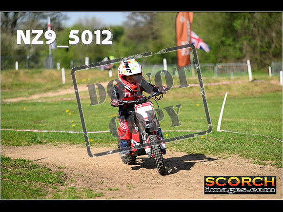 PeeWee-083